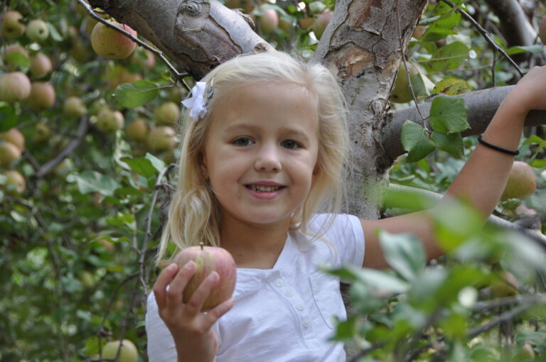 Apple Picking in the Mountains